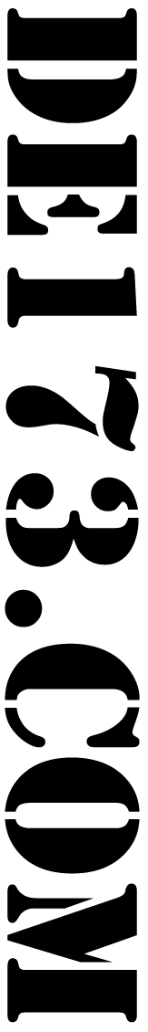 DE173.COM Side Logo